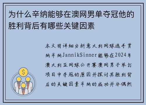 为什么辛纳能够在澳网男单夺冠他的胜利背后有哪些关键因素