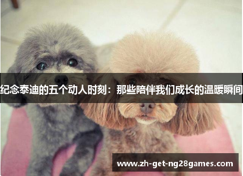 纪念泰迪的五个动人时刻：那些陪伴我们成长的温暖瞬间