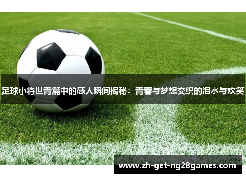 足球小将世青篇中的感人瞬间揭秘：青春与梦想交织的泪水与欢笑